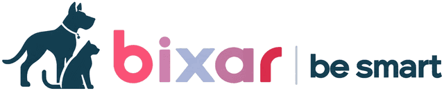 Bixar — be smart