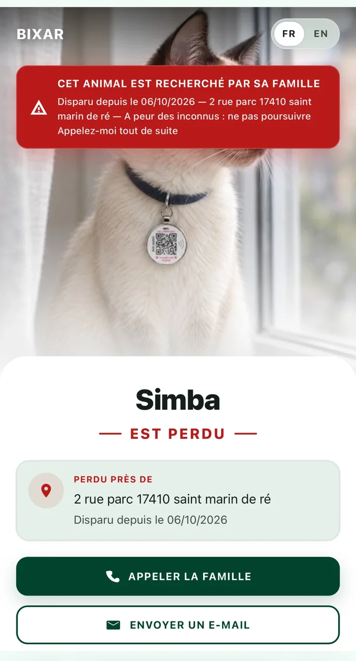 Page id.bixar.co en mode perdu : « Simba est perdu », lieu et bouton pour appeler la famille
