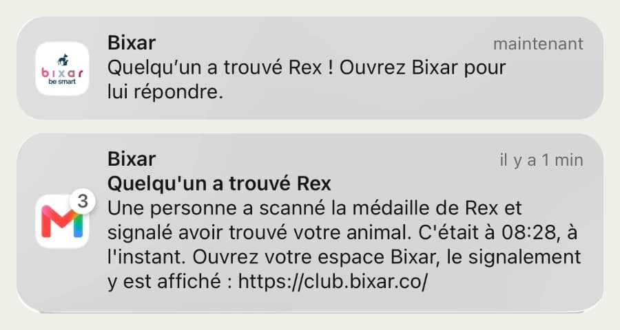 Notifications reçues par le propriétaire : « Quelqu’un a trouvé Rex ! Ouvrez Bixar pour lui répondre » et l’e-mail « Une personne a scanné la médaille de Rex et signalé avoir trouvé votre animal. C’était à 08:28 »