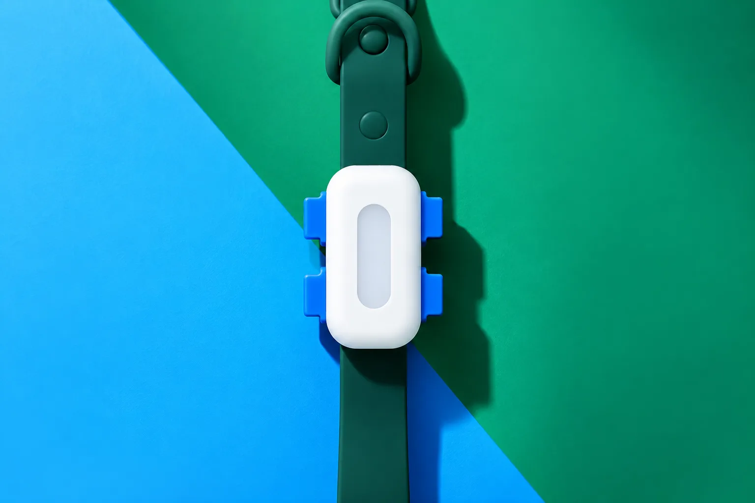 Le traceur Viva clipsé sur son collier vert, fond bleu et vert
